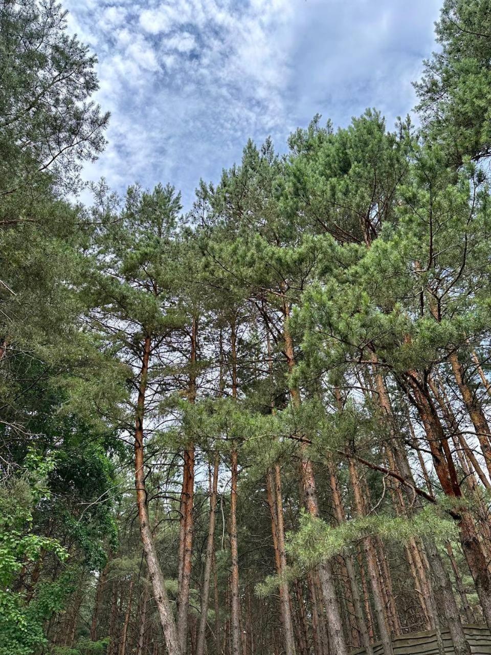 Secret Resort Club Pereyaslav-Khmelʼnytsʼkyy Bagian luar foto